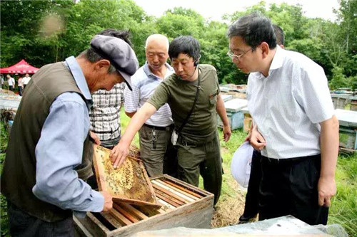 yp街机·电子游戏(中国)官方网站